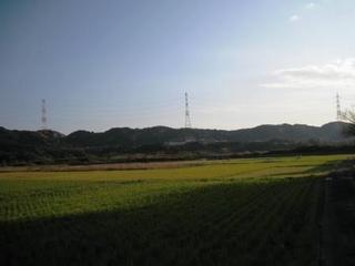 001.JPG