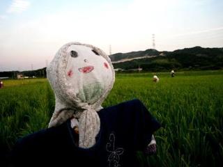 002.JPG