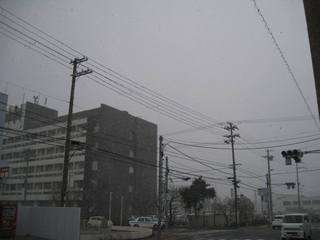 005.JPG