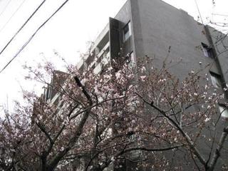 006.JPG