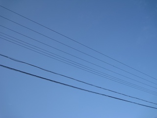 010.JPG