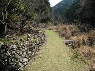 010.jpg