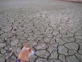 015.JPG