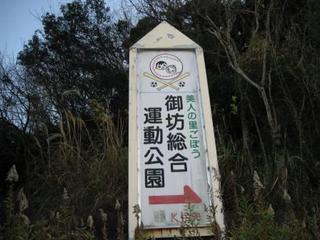 020.JPG