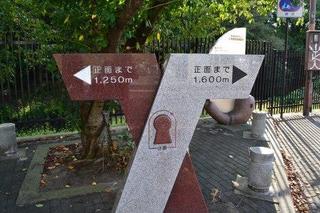101.jpg