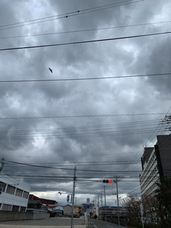 IMG_0075.JPG