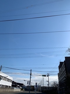 IMG_0456.JPG