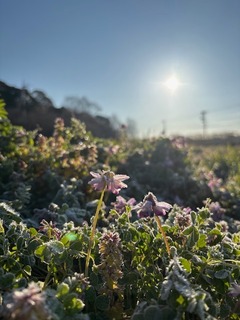 IMG_0622.JPG
