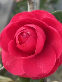 IMG_0644.jpg