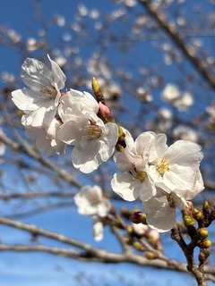IMG_0688.JPG