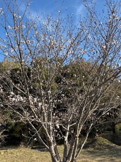 IMG_0690.jpg