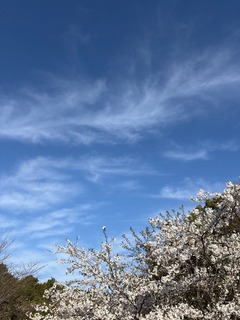 IMG_0693.JPG
