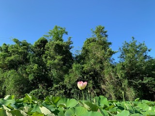 IMG_0775.jpg