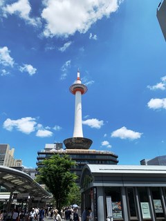 IMG_0784.jpg