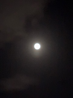 IMG_0794.JPG