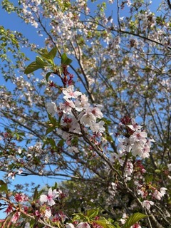 IMG_0797.jpg