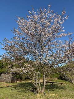 IMG_0798.jpg
