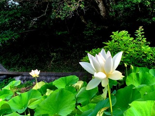 IMG_0820.jpg