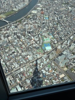 IMG_0865.jpg