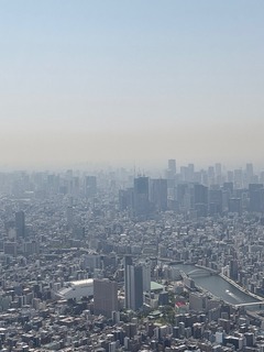 IMG_0874.JPG