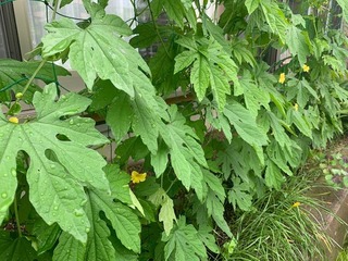 IMG_0877.jpg