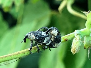 IMG_0900.jpg