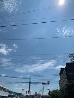 IMG_0915.jpg