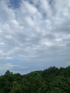 IMG_0919.JPG