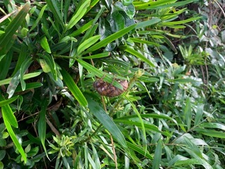 IMG_0920.jpg