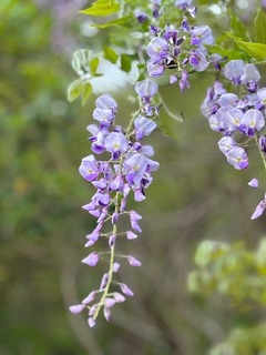 IMG_0938.jpg