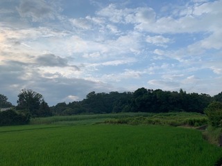 IMG_0942.jpg