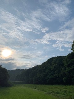 IMG_0943.jpg