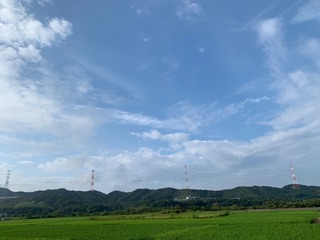 IMG_0946.jpg