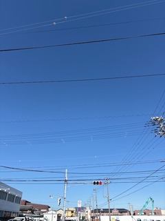 IMG_0949.JPG