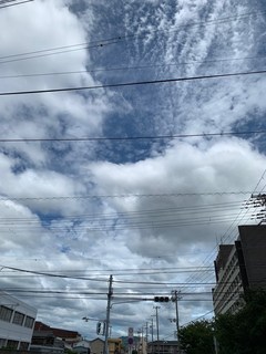 IMG_1042.JPG