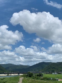 IMG_1049.jpg