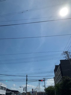 IMG_1066.JPG