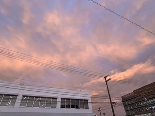 IMG_1075.jpg