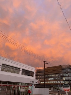 IMG_1076.jpg