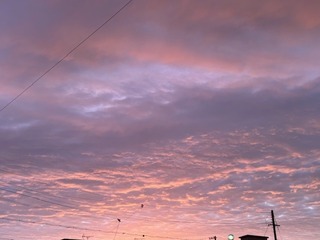 IMG_1077.jpg