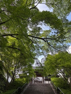 IMG_1092.jpg