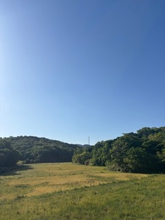 IMG_1119.jpg
