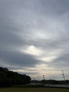 IMG_1207.JPG
