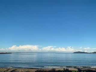 IMG_1228.jpg