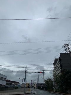 IMG_1421.jpg