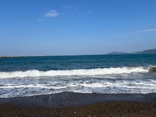 IMG_1437.jpg