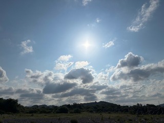IMG_1439.jpg