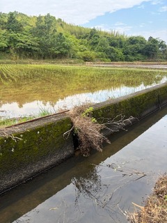 IMG_1455.jpg