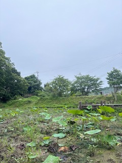 IMG_1495.JPG