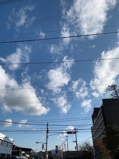IMG_1600.JPG